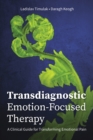 Transdiagnostic Emotion-Focused Therapy : A Clinical Guide for Transforming Emotional Pain - Book