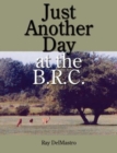 Just Another Day at the B.R.C. - Book