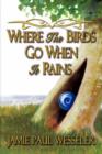 Where the Birds Go When It Rains - Book