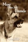 More Than Just Friends - Book