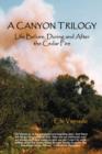 A Canyon Trilogy : Life Before, During and After the Cedar Fire - Book