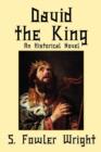 David the King : An Historical Novel - Book