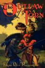 The Outlaw of Torn - Book