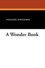 A Wonder Book - Book