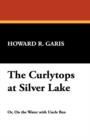 The Curlytops at Silver Lake - Book