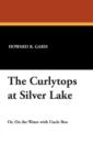 The Curlytops at Silver Lake - Book