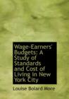 Wage-Earners' Budgets : A Study of Standards and Cost of Living in New York City - Book