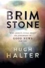 Brimstone : The Art and Act of Holy Nonjudgment - Book
