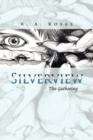 Silverview - Book