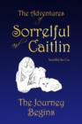 The Adventures of Sorrelful and Caitlin - Book