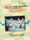 Yes, There Are Names Other Than Rover! - Book