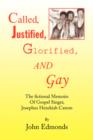 Called, Justified, Glorified, and Gay - Book
