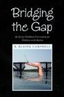 Bridging the Gap - Book