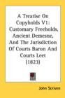 A Treatise On Copyholds V1: Customary Freeholds, Ancient Demesne, And The Jurisdiction Of Courts Baron And Courts Leet (1823) - Book