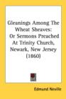 Gleanings Among The Wheat Sheaves: Or Sermons Preached At Trinity Church, Newark, New Jersey (1860) - Book