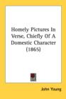 Homely Pictures In Verse, Chiefly Of A Domestic Character (1865) - Book