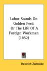 Labor Stands On Golden Feet: Or The Life Of A Foreign Workman (1852) - Book
