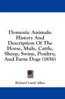 Domestic Animals: History And Description Of The Horse, Mule, Cattle, Sheep, Swine, Poultry, And Farm Dogs (1856) - Book