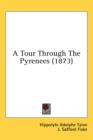 A Tour Through The Pyrenees (1873) - Book