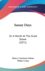 Sunny Days : Or A Month At The Great Stowe (1871) - Book