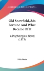 Old Snowfield's Fortune And What Became Of It : A Psychological Novel (1873) - Book