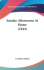 Sunday Afternoons At Home (1844) - Book