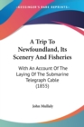A Trip To Newfoundland, Its Scenery And Fisheries : With An Account Of The Laying Of The Submarine Telegraph Cable (1855) - Book