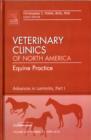 Advances in Laminitis, Part I, An Issue of Veterinary Clinics: Equine Practice : Volume 26-1 - Book