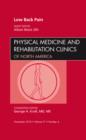 Low Back Pain, An Issue of Physical Medicine and Rehabilitation Clinics : Volume 21-4 - Book