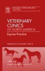 Advances in Laminitis, Part II, An Issue of Veterinary Clinics: Equine Practice : Volume 26-2 - Book