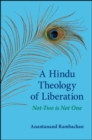 A Hindu Theology of Liberation : Not-Two Is Not One - eBook