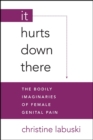 It Hurts Down There : The Bodily Imaginaries of Female Genital Pain - eBook