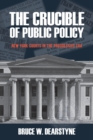 The Crucible of Public Policy : New York Courts in the Progressive Era - Book