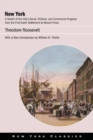 New York : A Sketch of the City’s Social, Political, and Commercial Progress from the First Dutch Settlement to Recent Times - Book