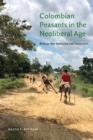Colombian Peasants in the Neoliberal Age : Between War Rentierism and Subsistence - eBook