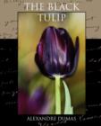 The Black Tulip - Book