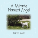 A Miracle Named Angel - Book