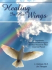 Healing in His Wings : A Comprehensive International Biblical Program for Those Wounded by Abuse: Sexual and Physical - Book