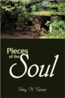 Pieces of the Soul - Book