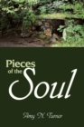 Pieces of the Soul - eBook