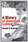 History of American Labor - eBook