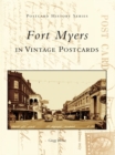 Fort Myers in Vintage Postcards - eBook