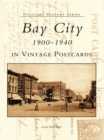 Bay City 1900-1940 in Vintage Postcards - eBook
