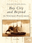 Bay City and Beyond in Vintage Postcards - eBook