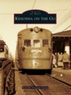 Kenosha on the Go - eBook