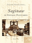 Saginaw in Vintage Postcards - eBook