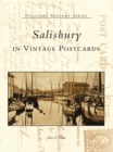 Salisbury in Vintage Postcards - eBook