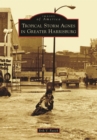 Tropical Storm Agnes in Greater Harrisburg - eBook