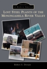 Lost Steel Plants of the Monongahela River Valley - eBook