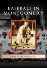 Baseball in Montgomery - eBook